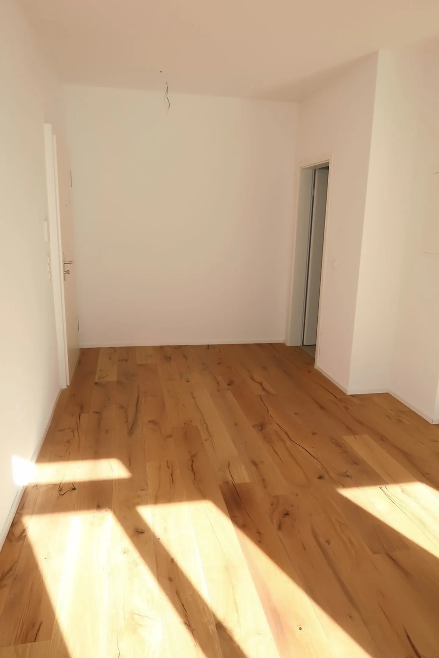Centrally Located Single Apartment! - Photo 5 of 5