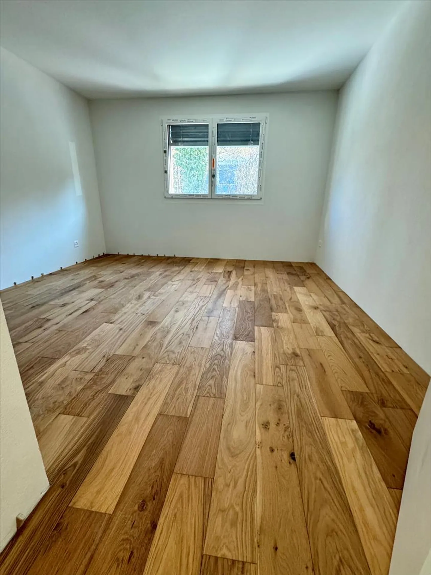 2.5 Room Apartment - Photo 3 of 5