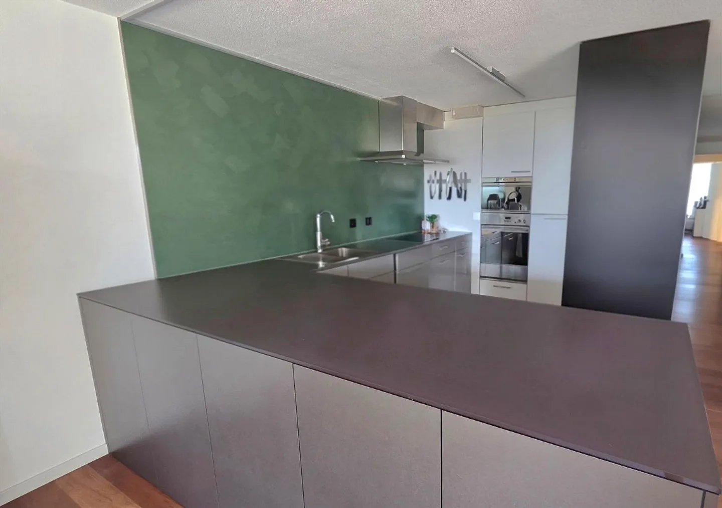 Appartamento elegante di 5,5 stanze con vista sull'Alpstein e oasi benessere - Foto 4 di 8