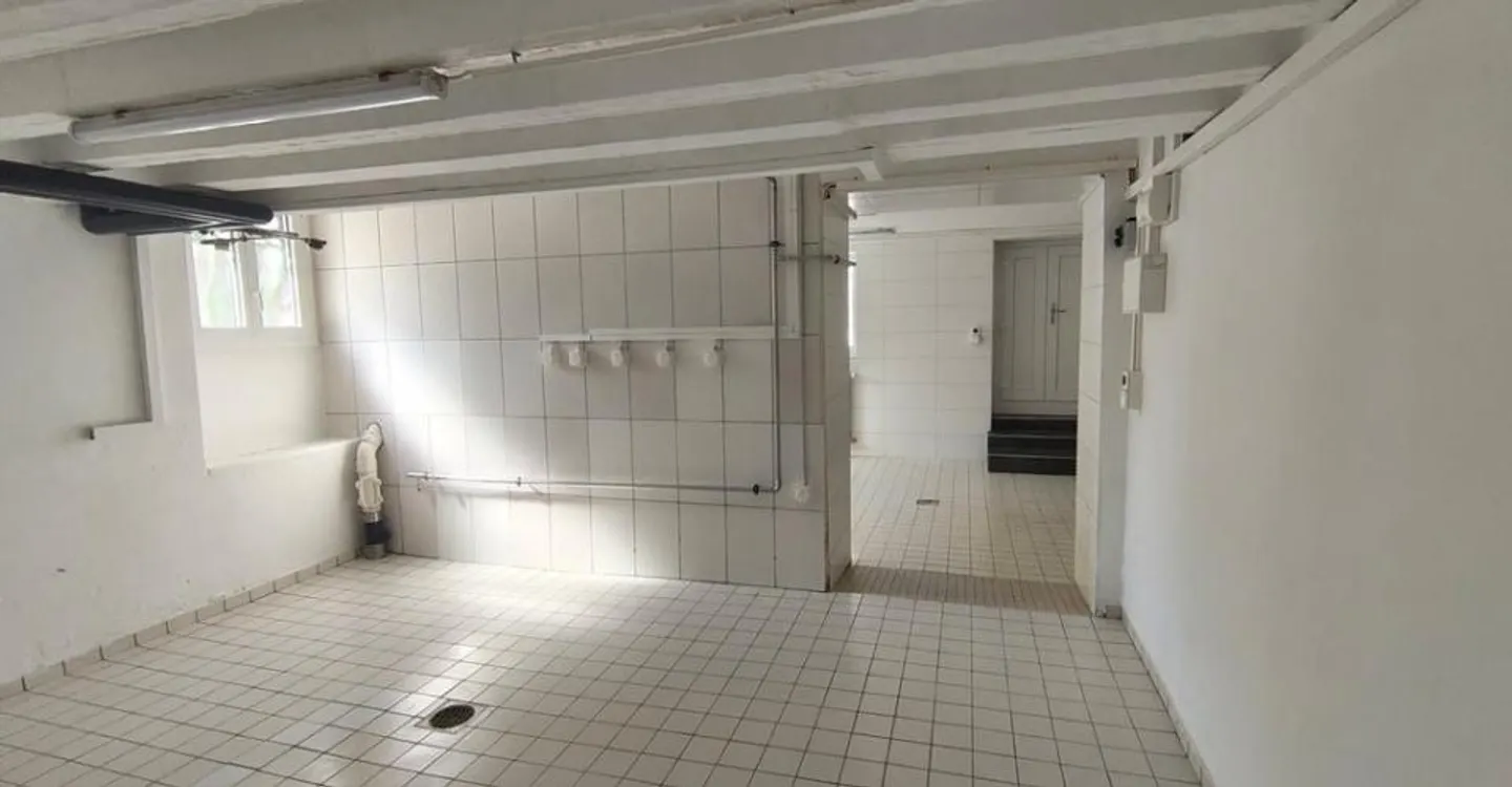 Espace Commercial Polyvalent à Lausanne - Photo 1 sur 5