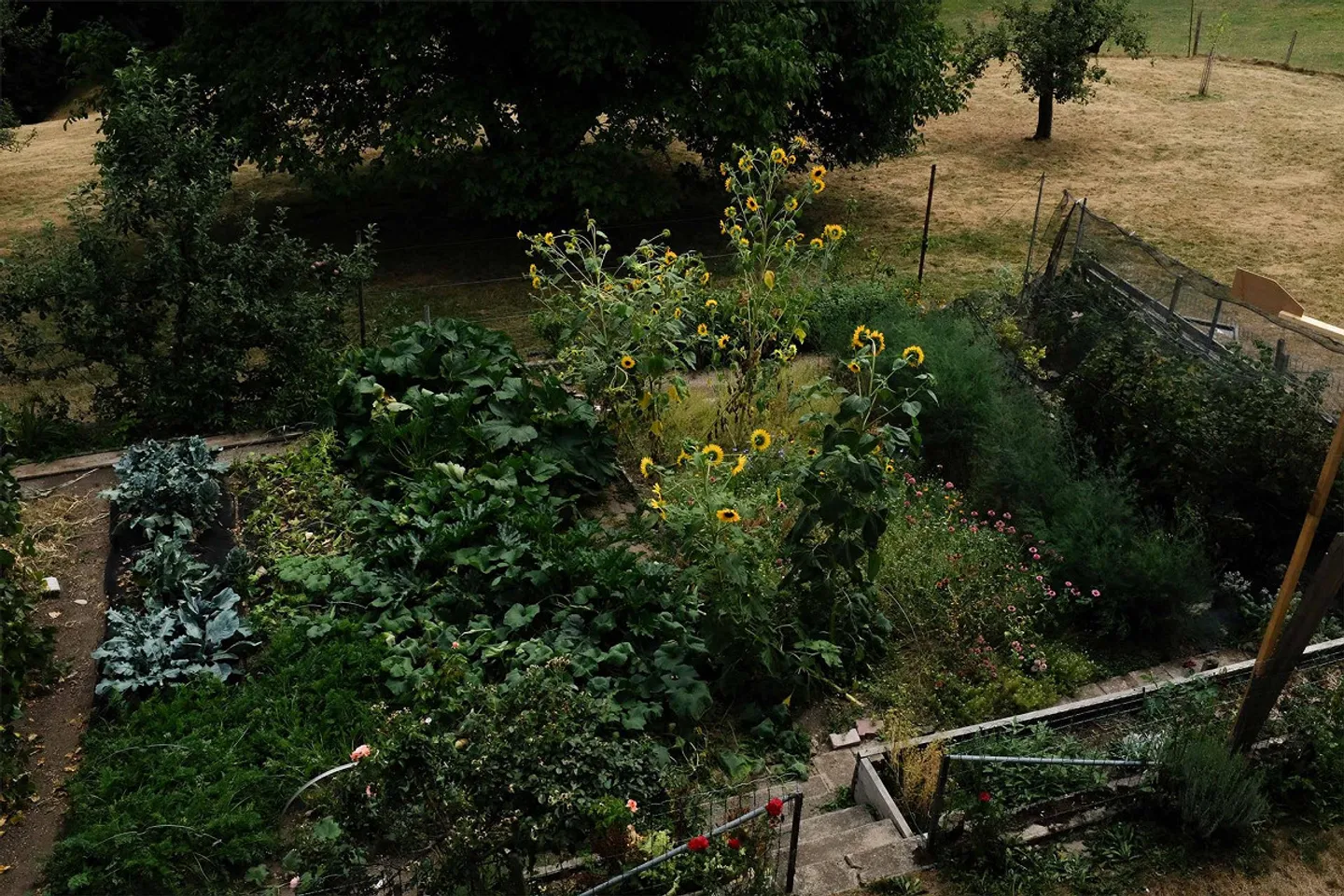 Grande appartement de 4.5 pièces dans la verdure - Photo 13 sur 13