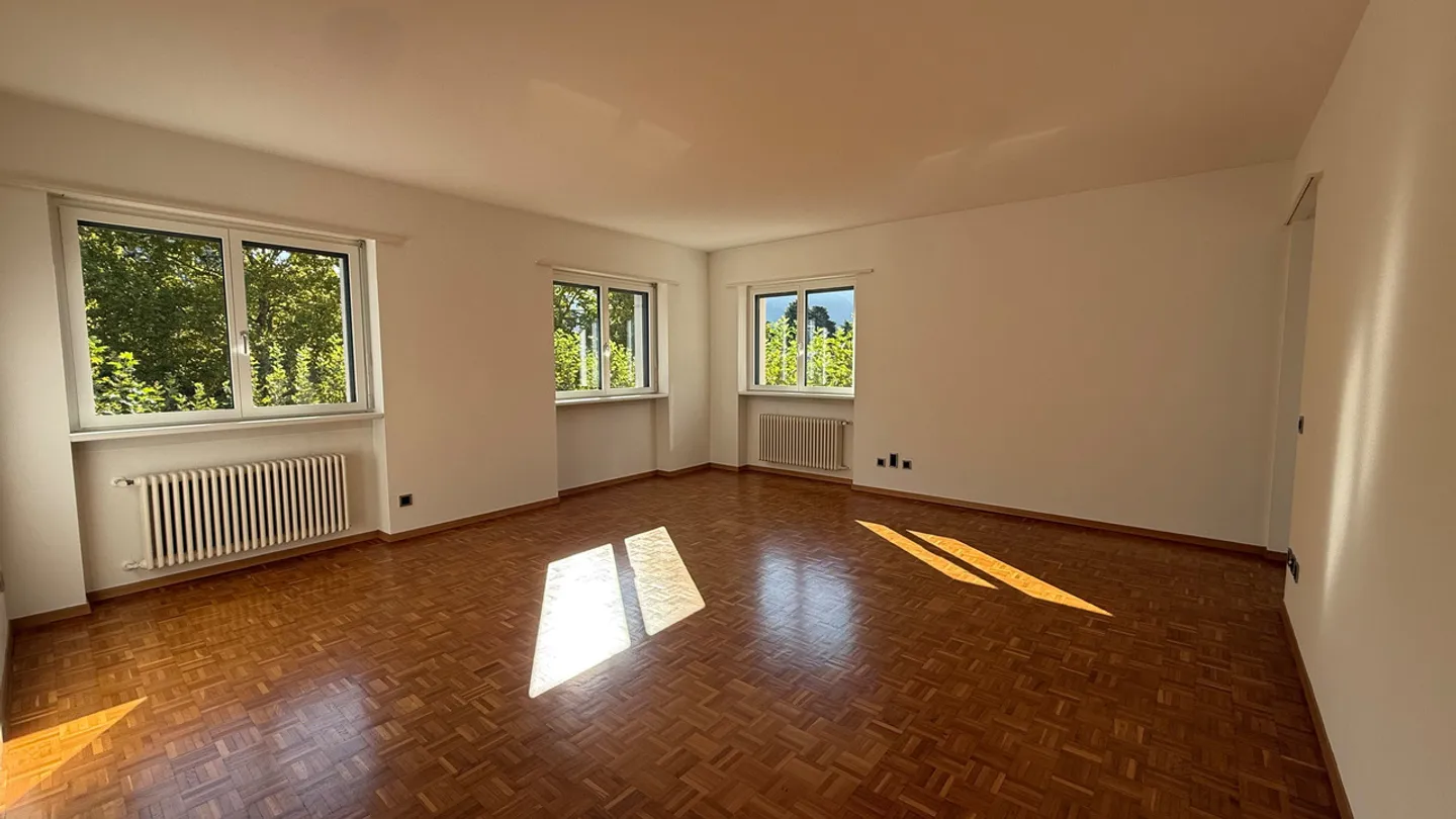 Bequeme 4.5 Zimmer mit Blick auf den Cassarate-Fluss - Foto 2 von 13