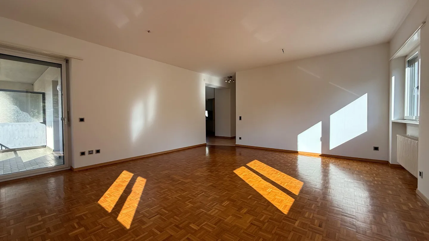Bequeme 4.5 Zimmer mit Blick auf den Cassarate-Fluss - Foto 3 von 13