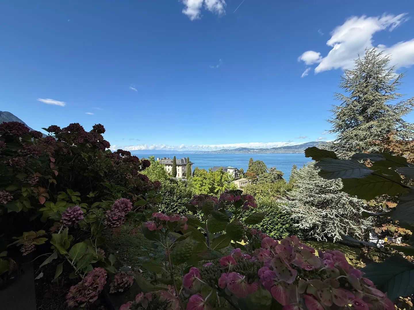Charming Chalet with Lake Views - Photo 1 of 1