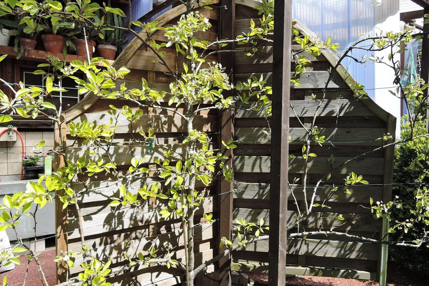 Metà di casa, 2 x appartamenti con 4 stanze - Foto 2 di 13