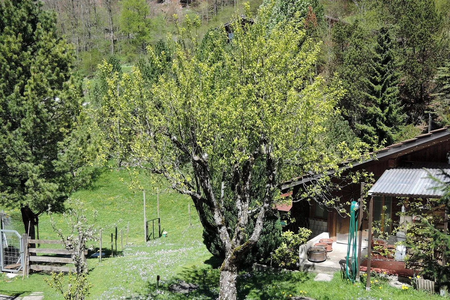 Metà di casa, 2 x appartamenti con 4 stanze - Foto 5 di 13