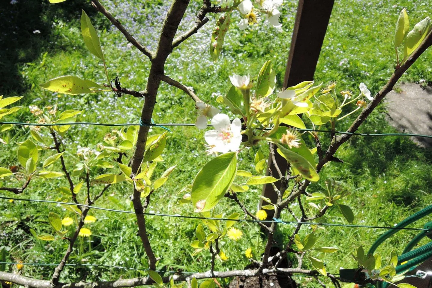 Metà di casa, 2 x appartamenti con 4 stanze - Foto 9 di 13