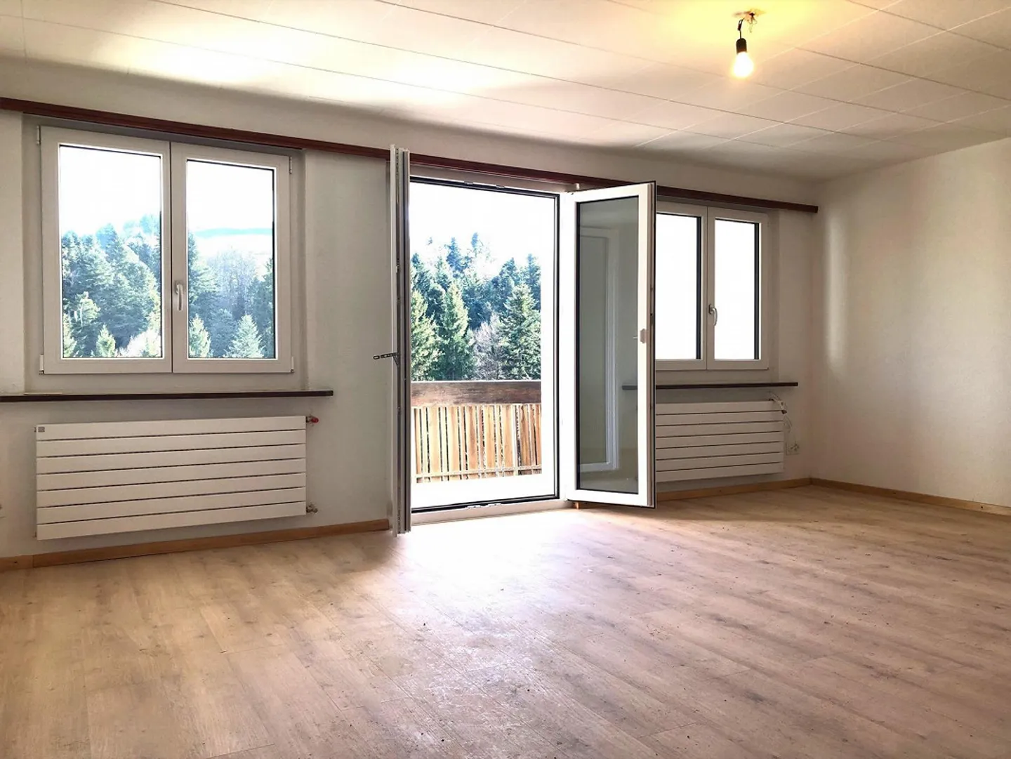 FOR NATURE LOVERS IN A SECLUDED LOCATION - Photo 2 of 7