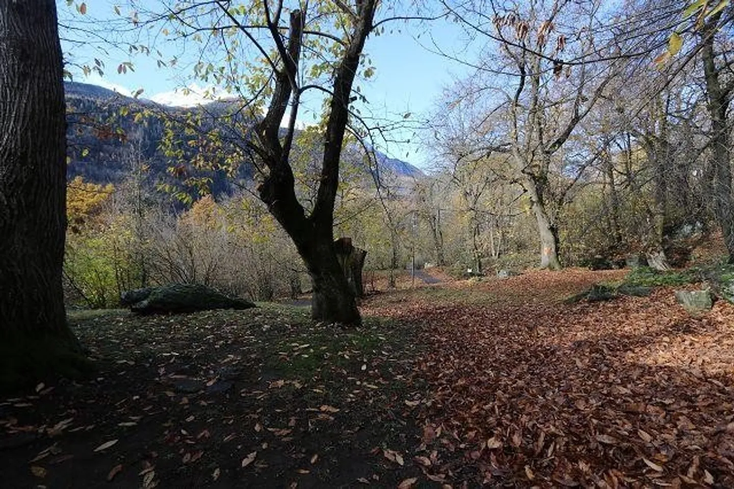 «Grotto mit 3 Zimmern / Grotto con 3 camere» - Foto 25 di 26