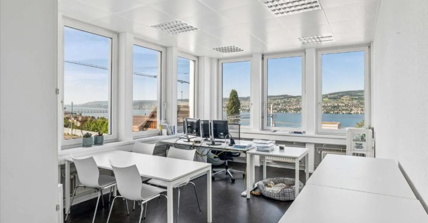 Lavorare con vista lago: Spazio ufficio attraente nel cuore di Horgen - Foto 4 di 5