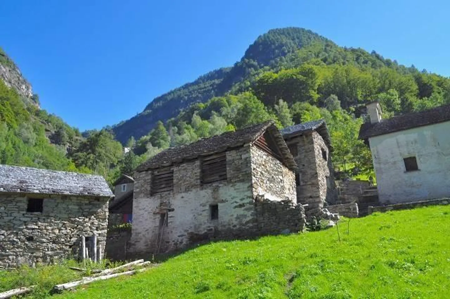 Casa singola in affitto - Foto 1 di 23