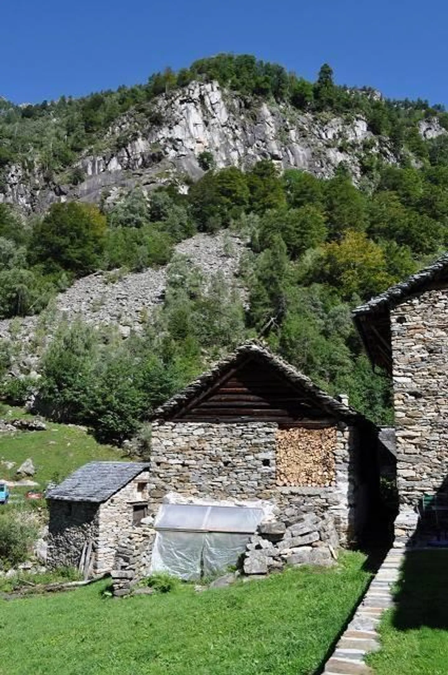 Casa singola in affitto - Foto 4 di 23