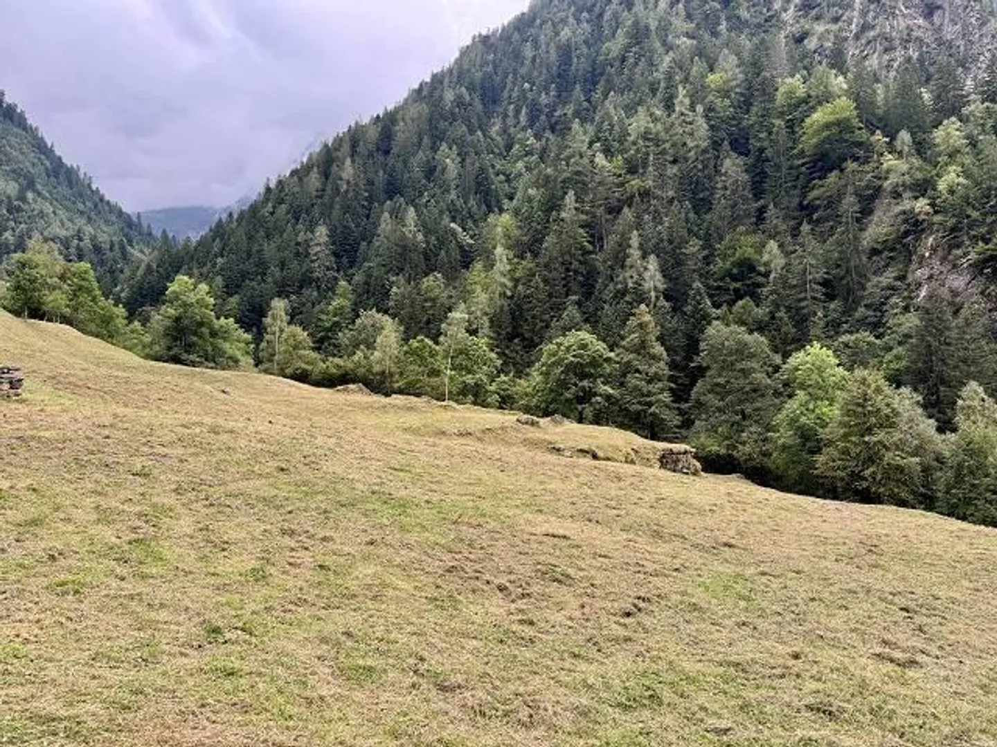 Casa singola in affitto - Foto 9 di 23