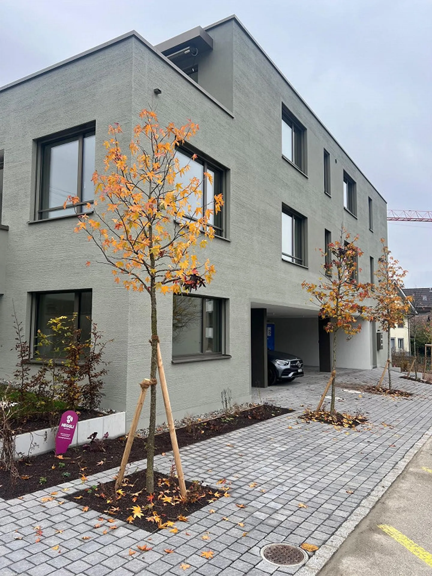 First rental: New apartment in Muri - Photo 2 of 17