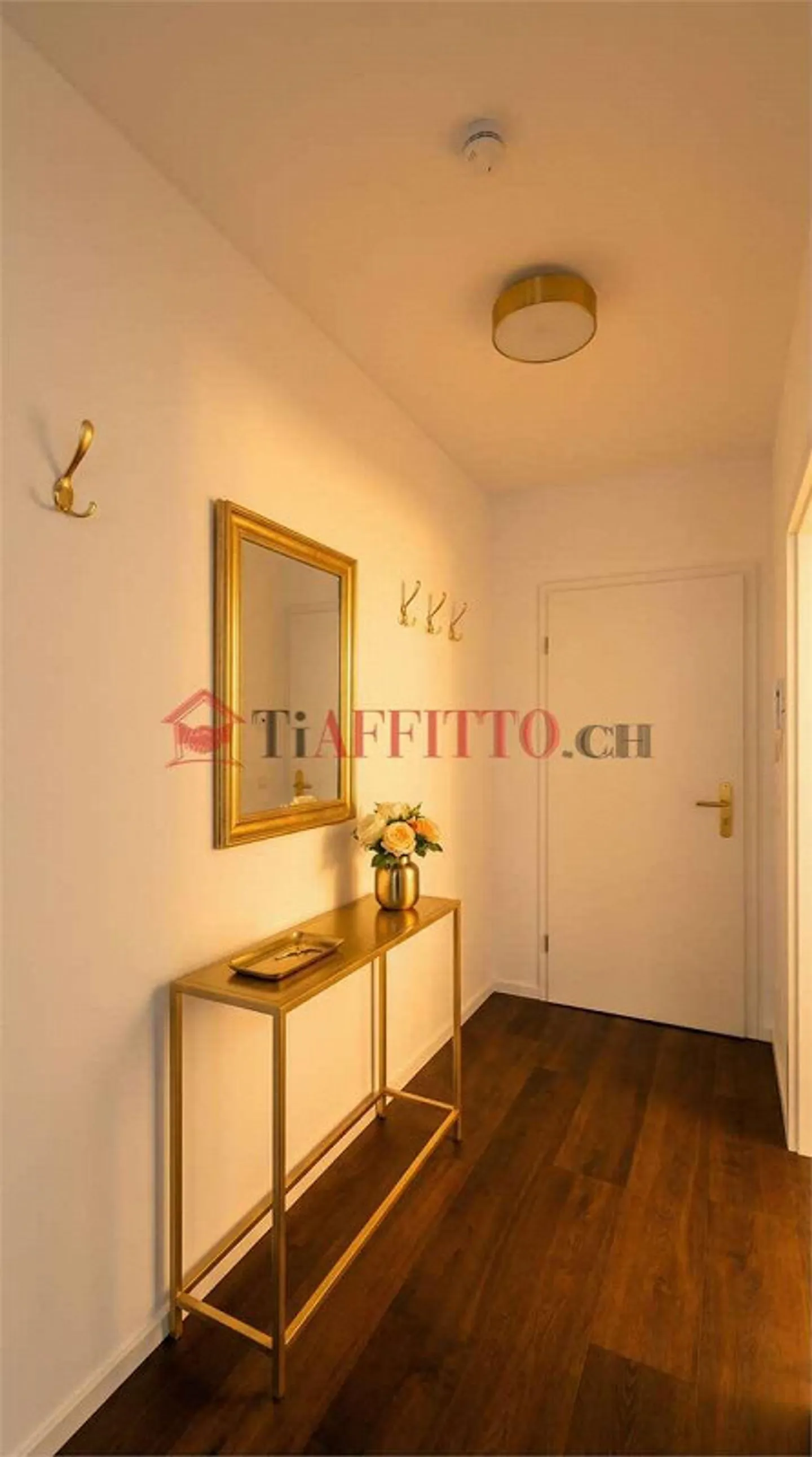 ÉLÉGANT 2.5 PIÈCES À VIGANELLO - Photo 4 sur 10