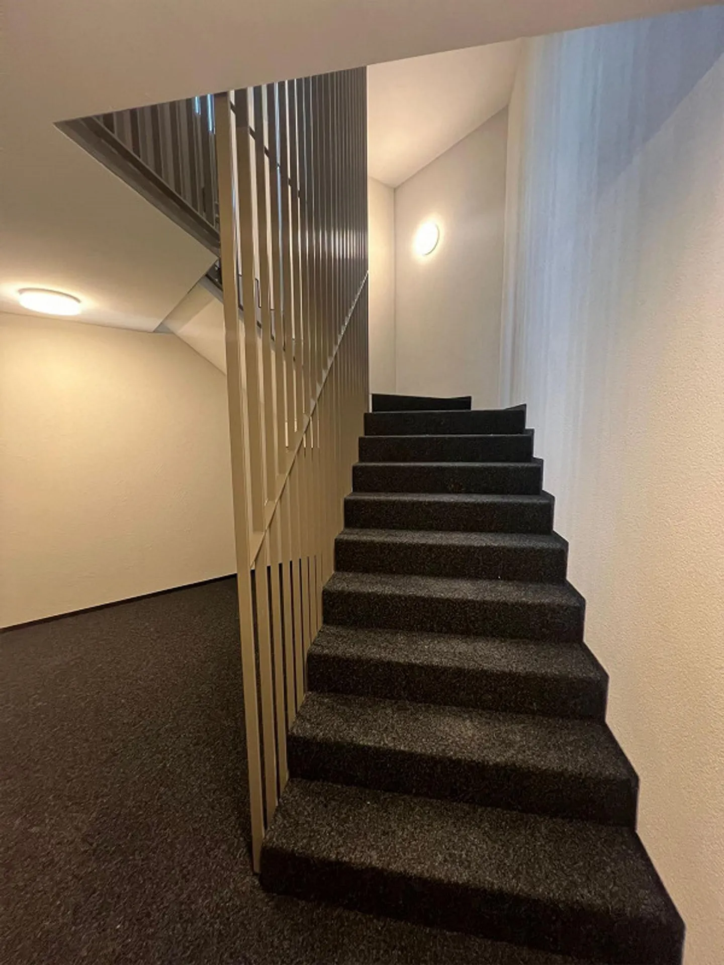 First rental: New apartment in Muri - Photo 16 of 17