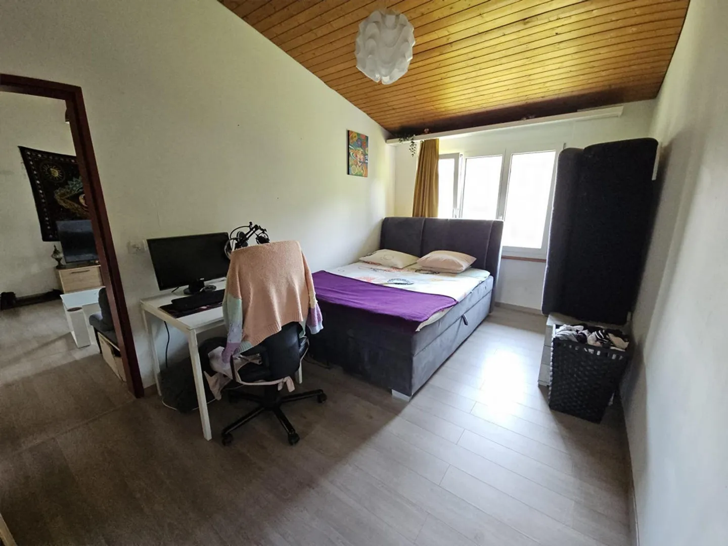 Appartamento singolo cerca nuovo residente - Foto 5 di 6