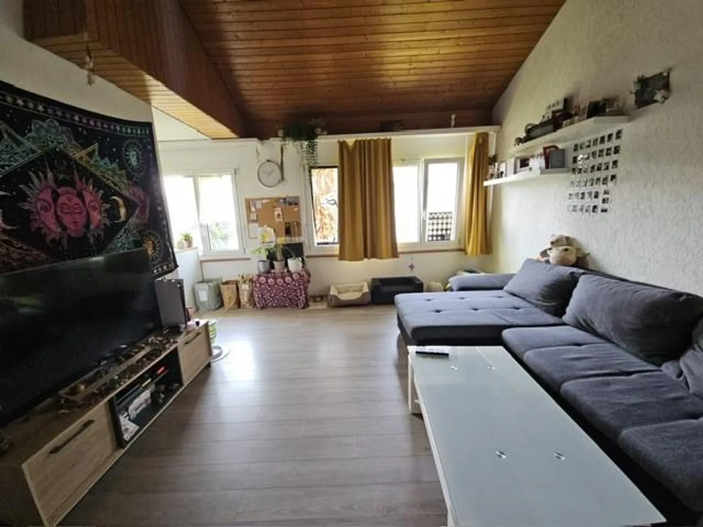 Appartamento singolo cerca nuovo residente - Foto 6 di 6