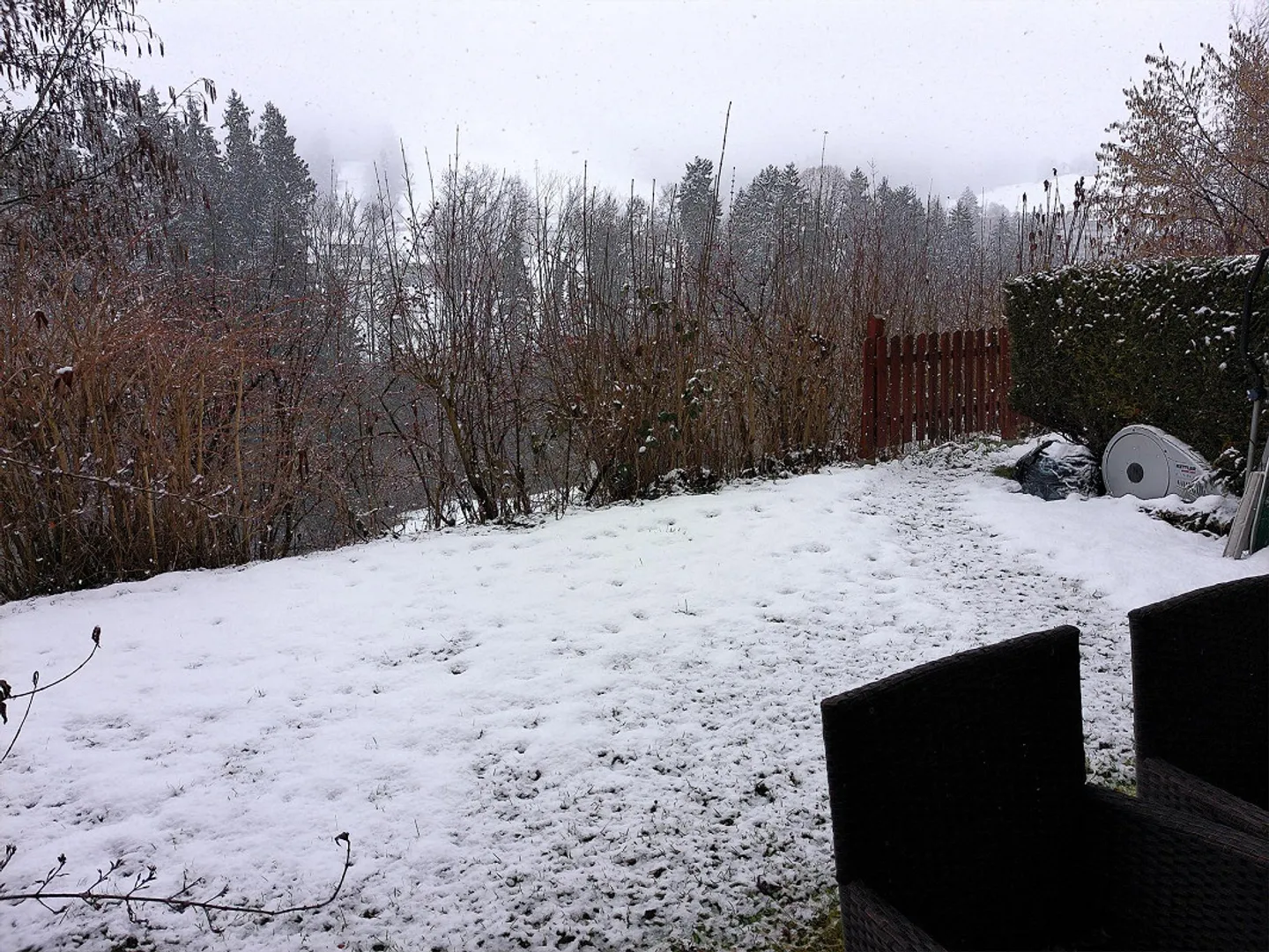 Appartement 2½ pièces confortable avec coin jardin - Photo 10 sur 14