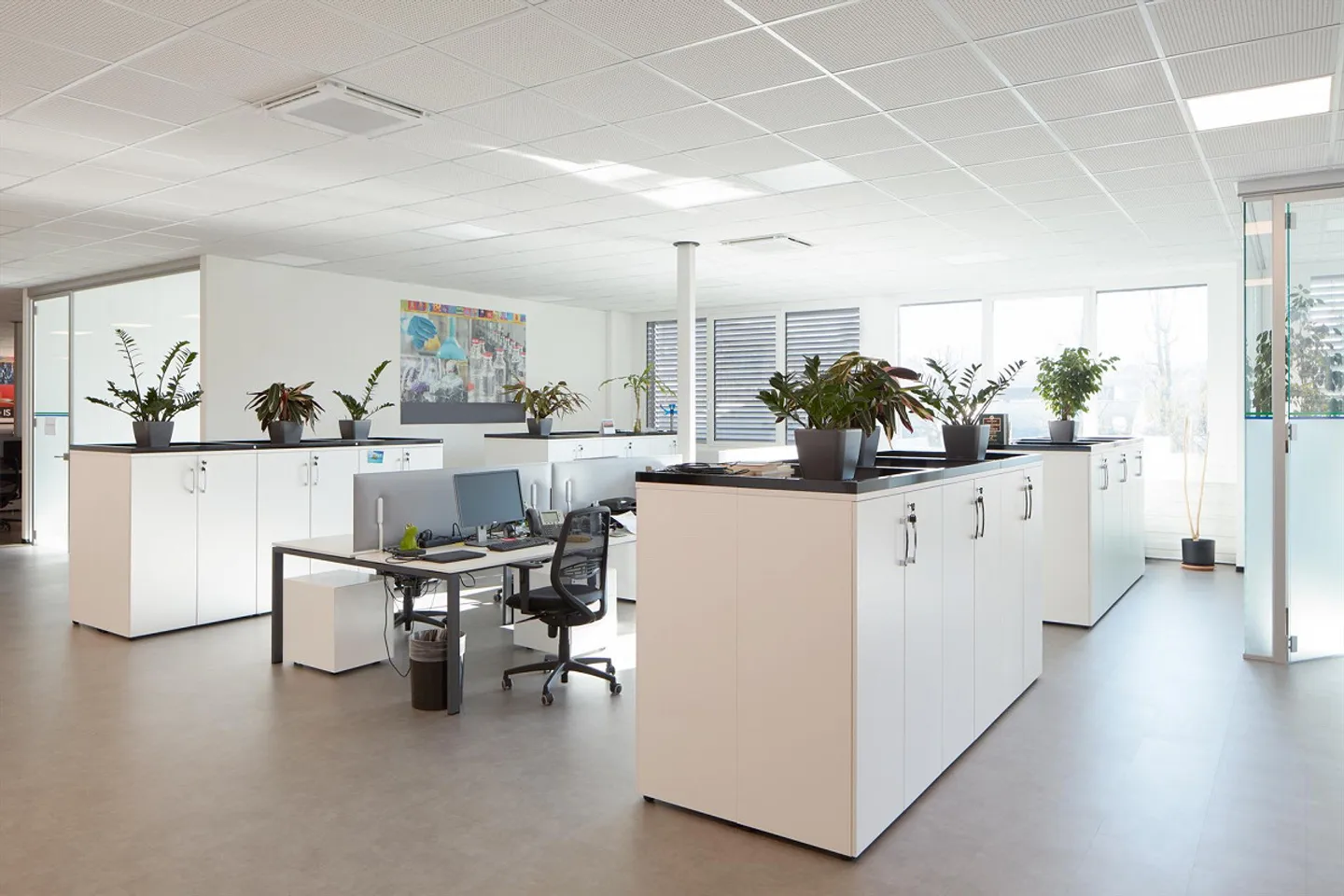 1,223 sq ft Office - Cadempino - Photo 6 of 10