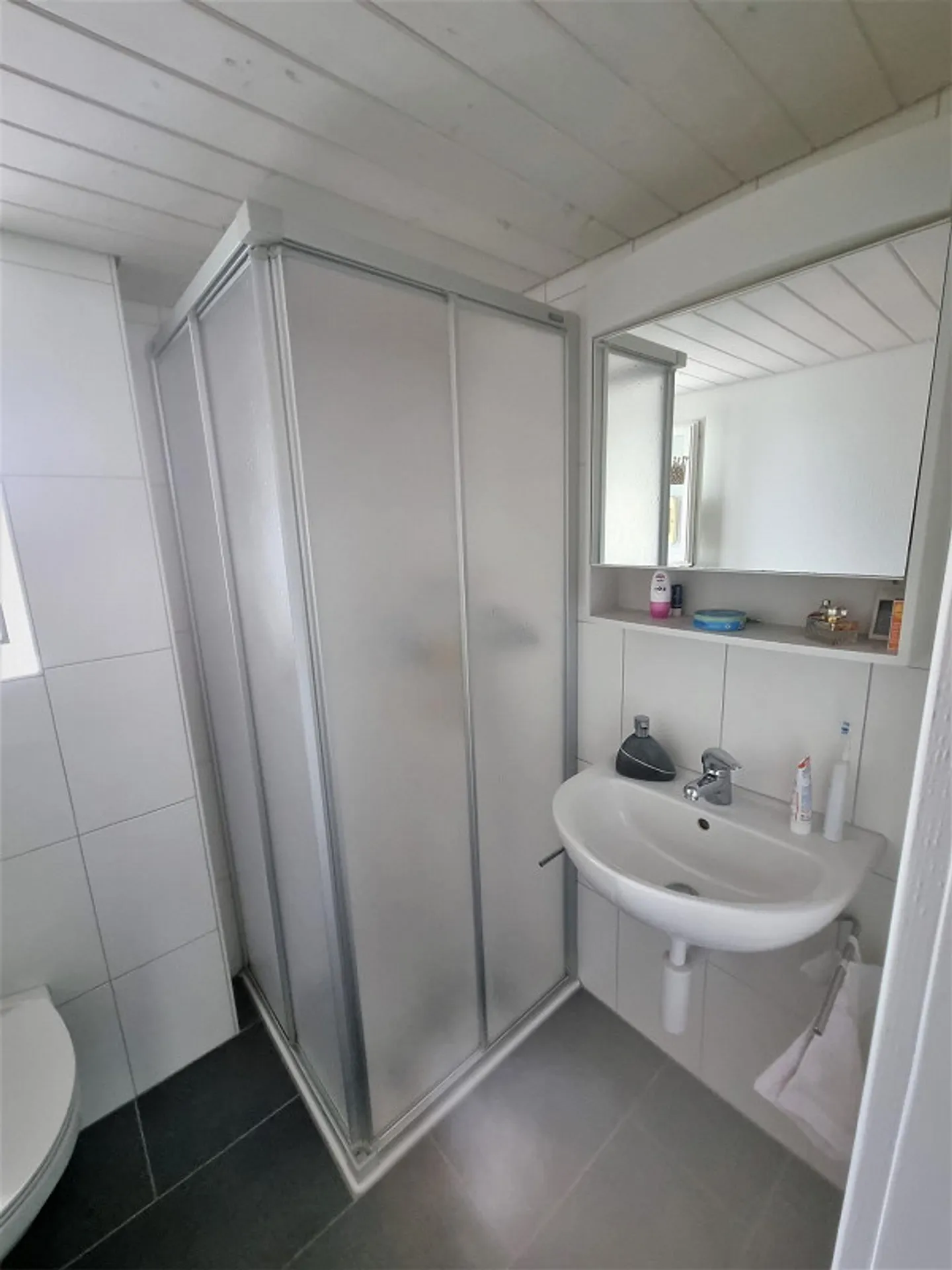 Cozy 3.5 Room Single Apartment in a Quiet Residential Area at Riethüsli - Photo 13 of 13