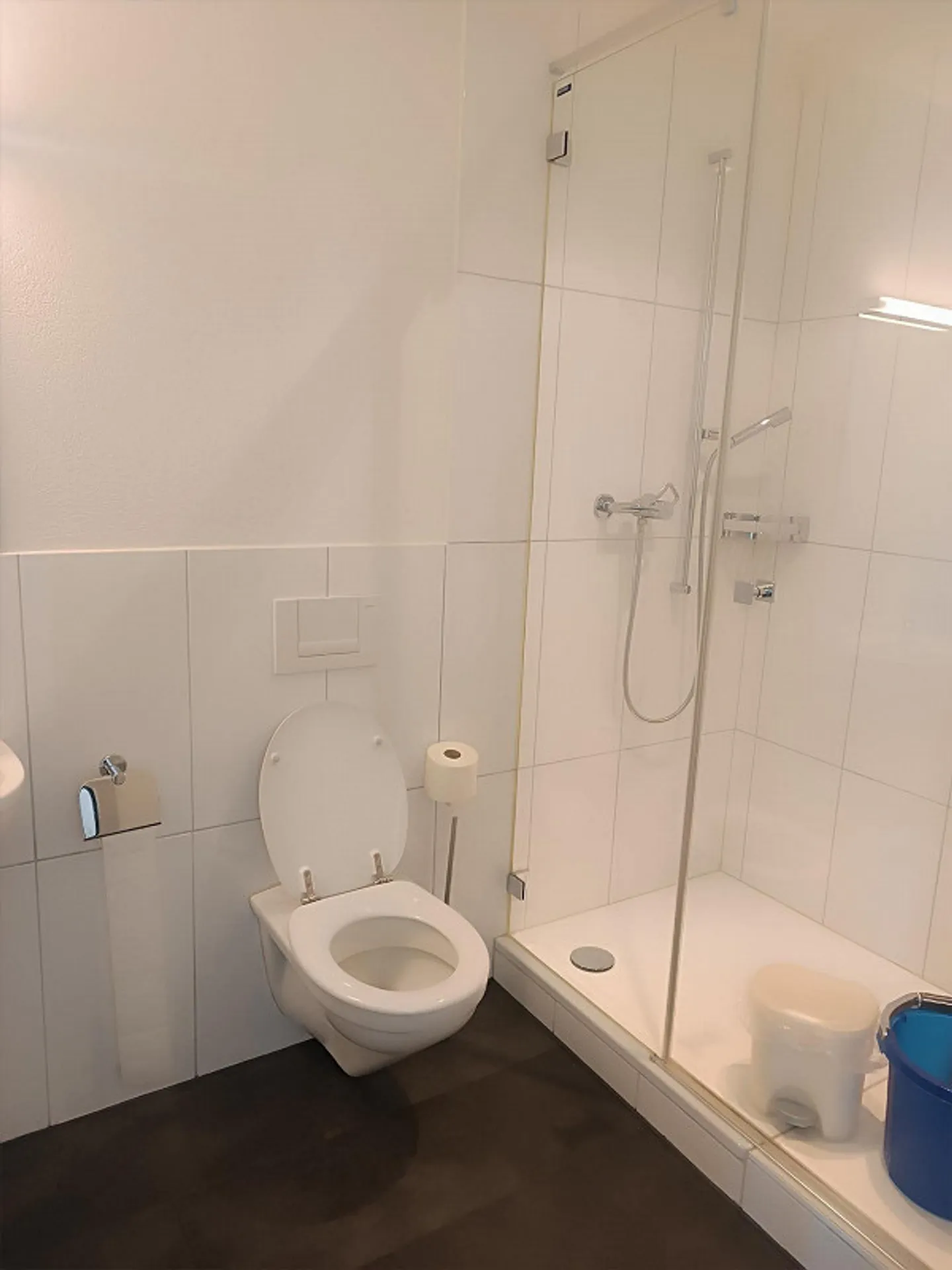 Negozio in affitto - Foto 6 di 6