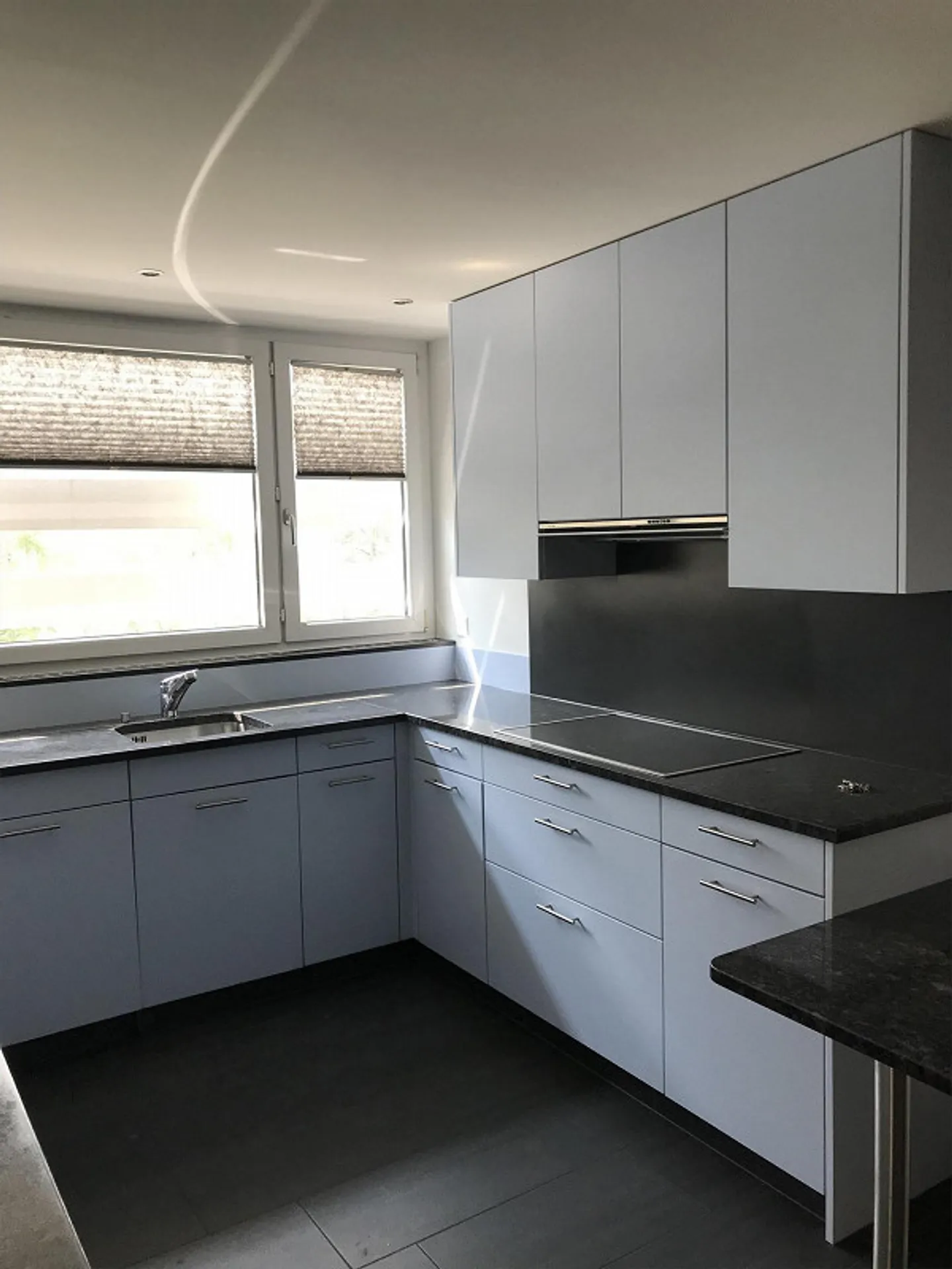 Large 5.5-room apartment for rent - Photo 3 of 16