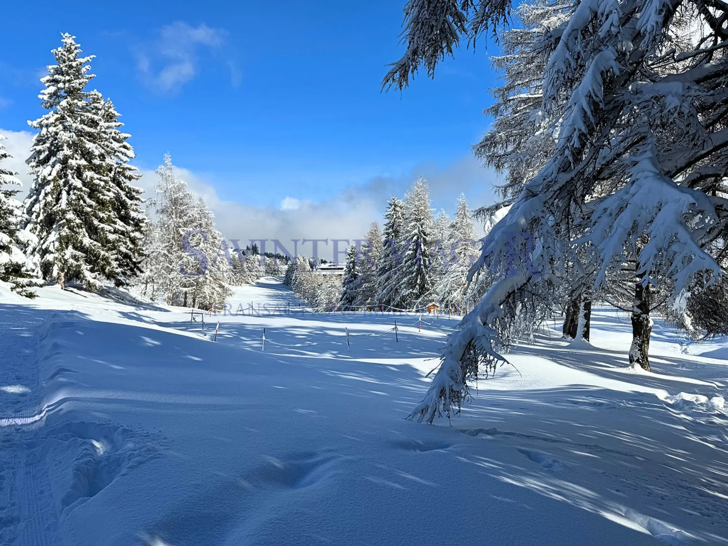 Charming Apartment in Crans-Montana - Photo 1 of 20