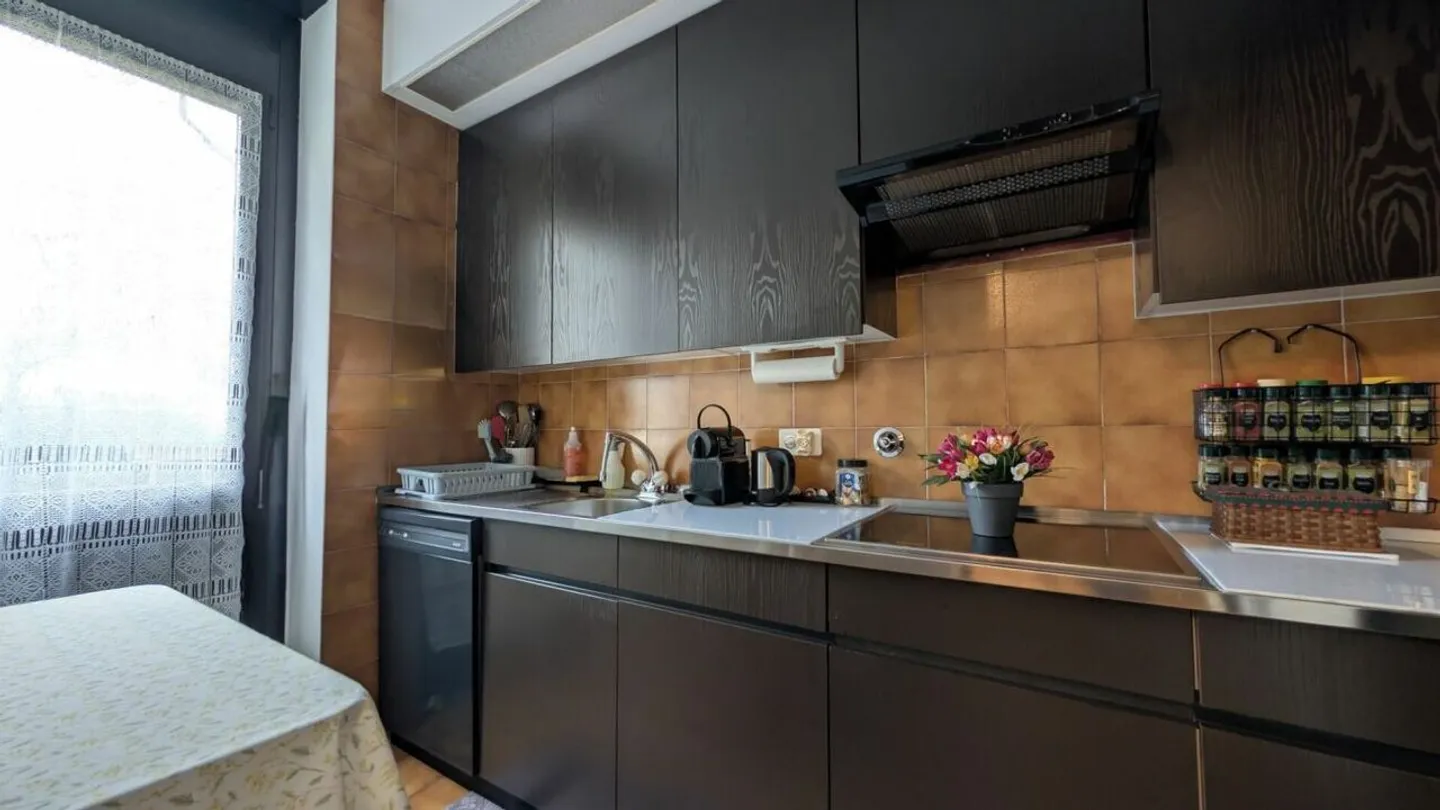 Comfort e tranquillità nel centro di Lugano: Appartamento con servizi premium! - Foto 7 di 17