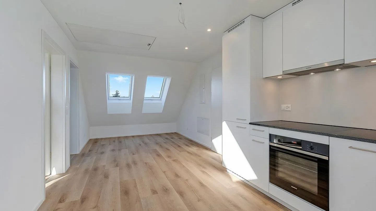 Exclusive New Construction Penthouse with Private Rooftop Terrace and Panoramic View - Photo 6 of 13