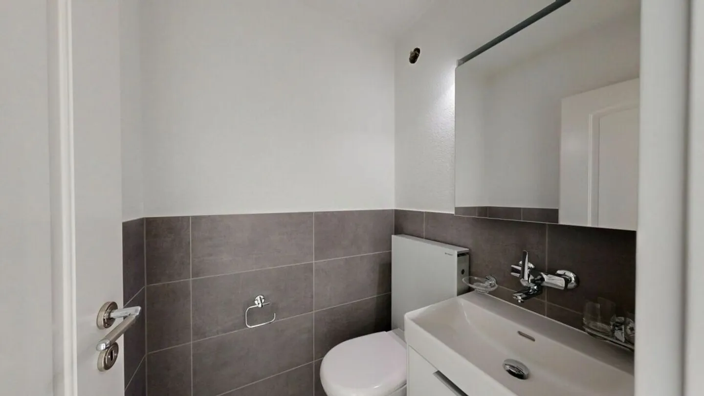 Modernized 5.5-room apartment in a green location - ready for immediate occupancy - Photo 11 of 15