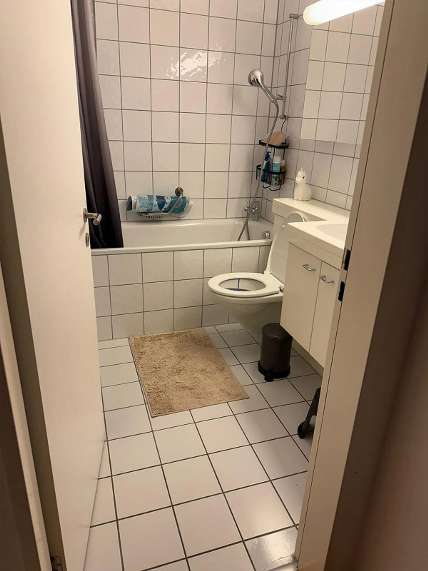 Schlafzimmer verfügbar 10 Minuten zu Fuß von Zürich HB - Foto 2 von 8