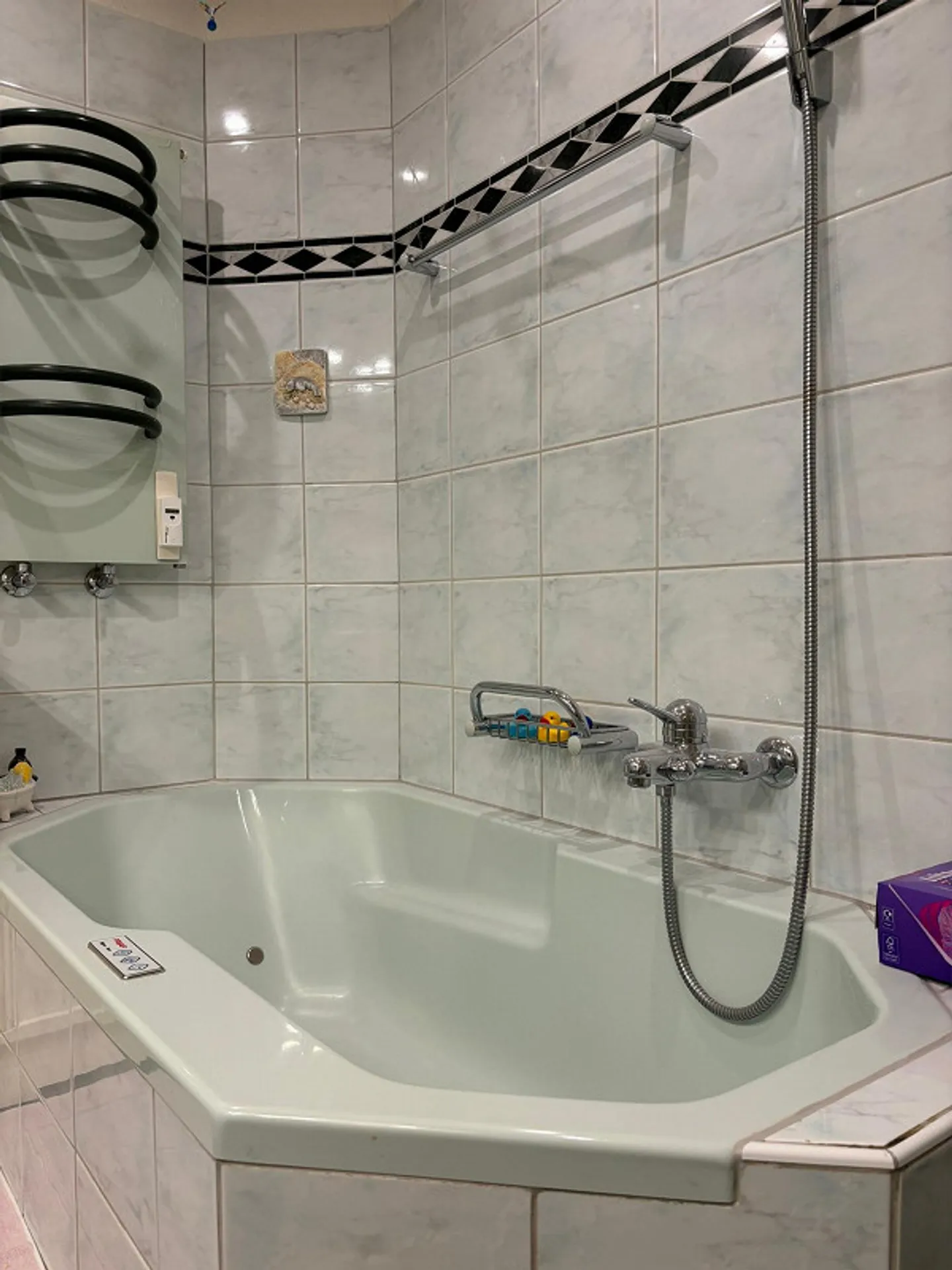 Meiringen BE - 4.5-Room Apartment with Garden and Mountain View (114m2 NWF) - Photo 9 of 13