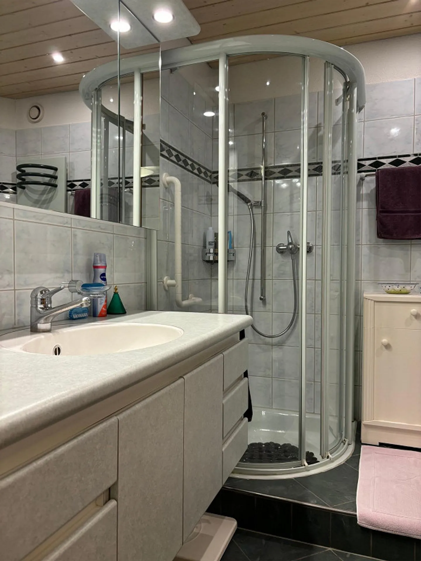 Meiringen BE - 4.5-Room Apartment with Garden and Mountain View (114m2 NWF) - Photo 8 of 13