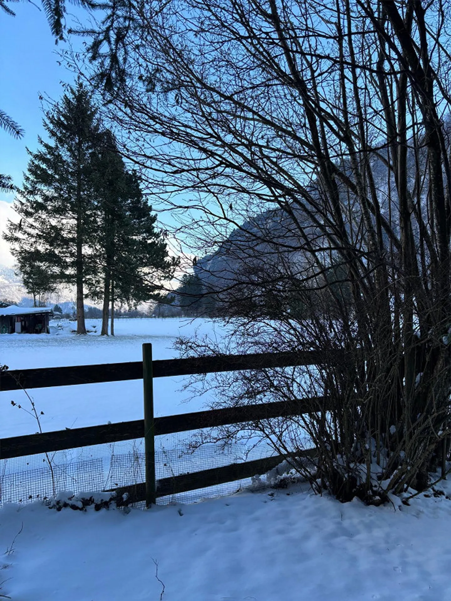 SINGLE FAMILY HOUSE with plenty of outdoor space. - Photo 6 of 8