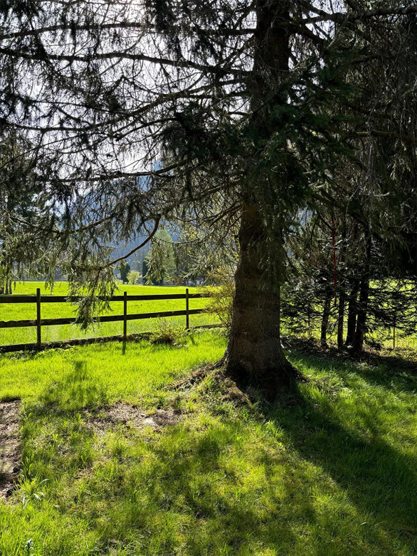 SINGLE FAMILY HOUSE with plenty of outdoor space. - Photo 3 of 8