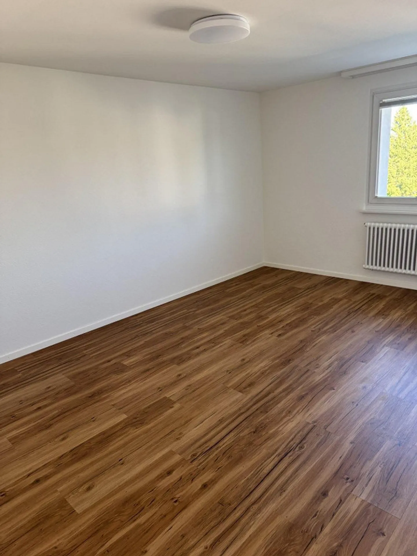 Cercasi nuovo inquilino - Foto 3 di 6