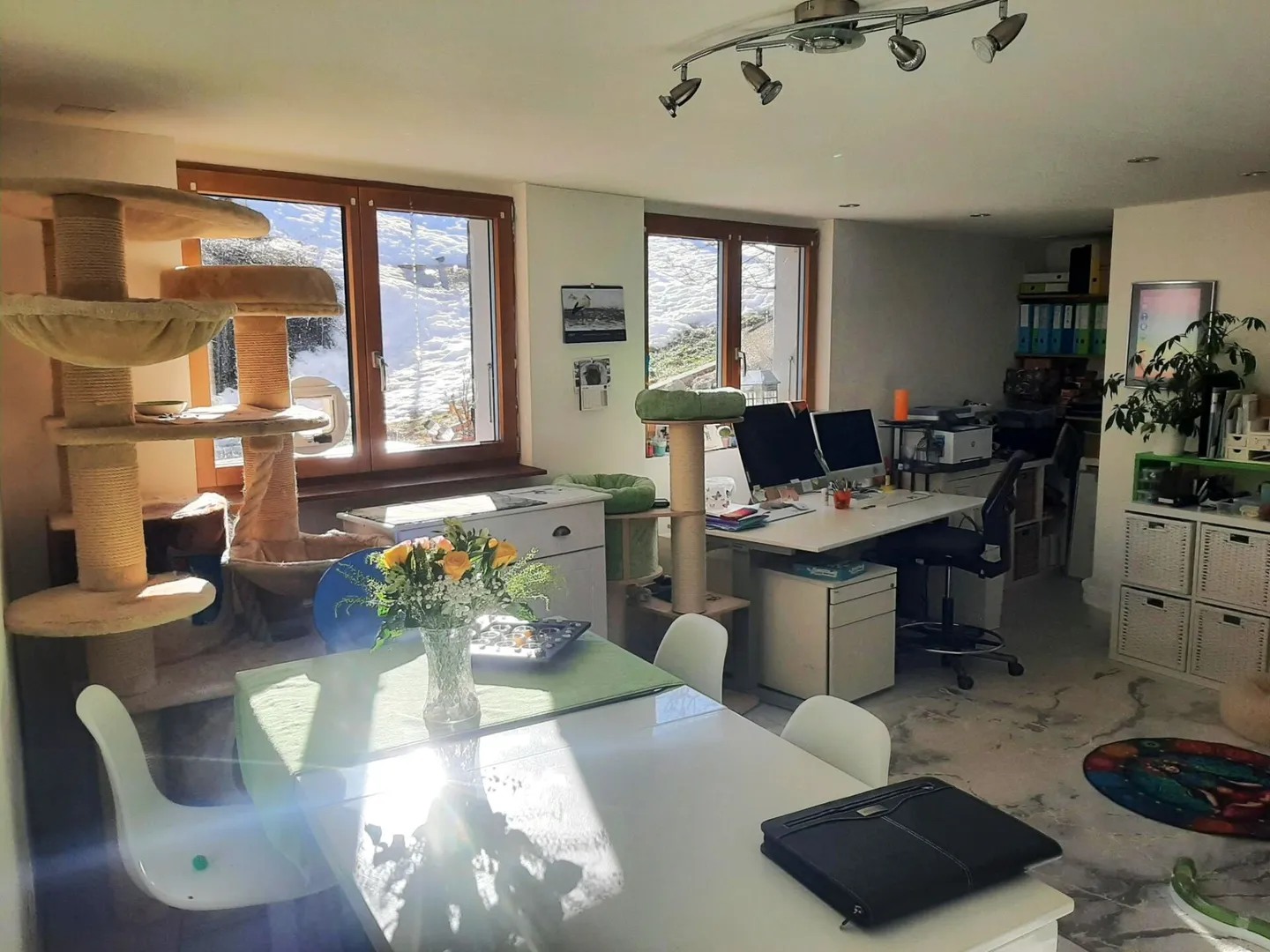 Well-maintained 6-room single-family house including a separate apartment in a dream location in Schwarzsee FR - Photo 8 of 11