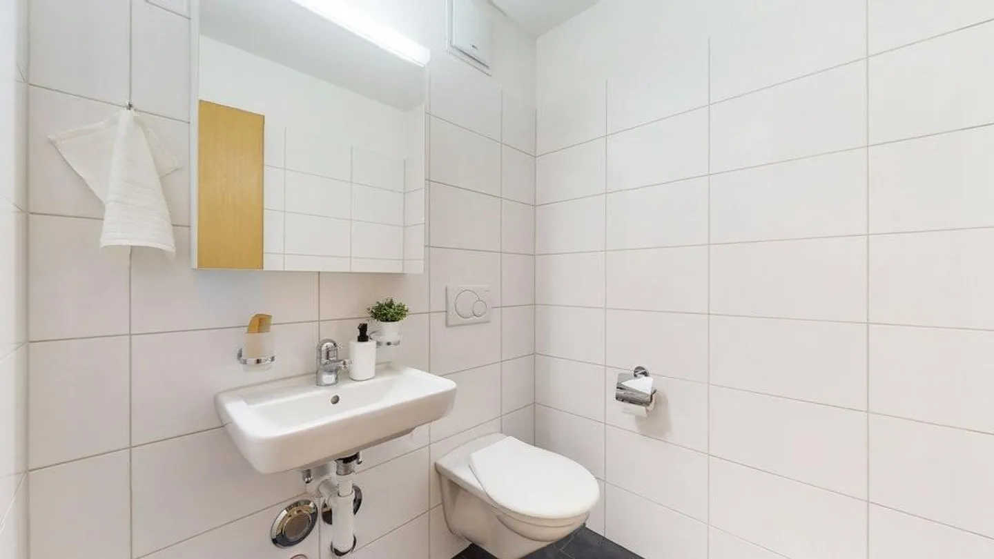 Apartment in Gyri-Ost - Photo 6 of 12