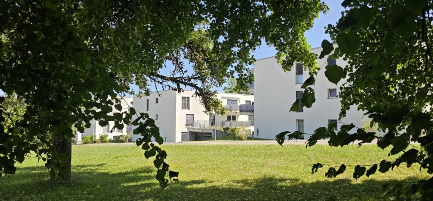 2.5 Room Apartment - Photo 1 of 1