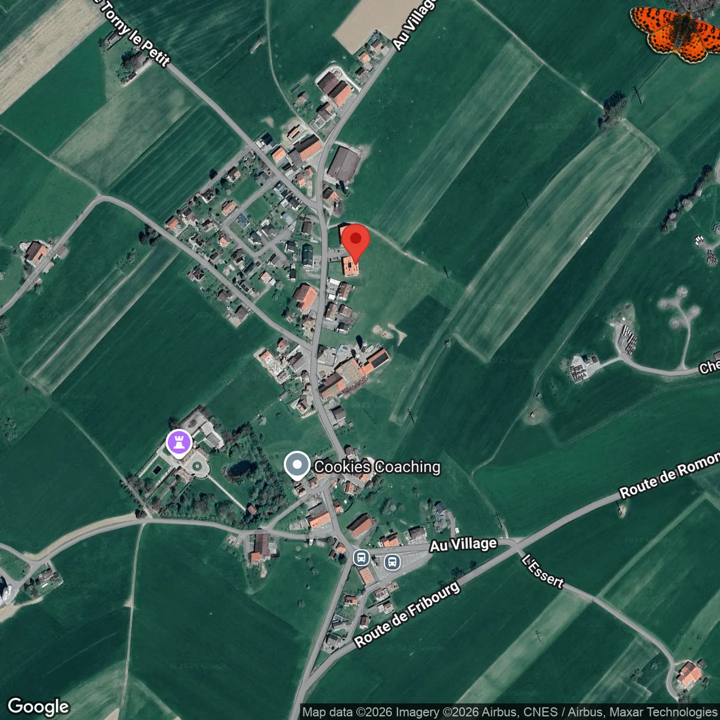 Spacieux et lumineux 4,5 Pièces de plain pied totalisant 153 m² ! - Foto 12 von 12