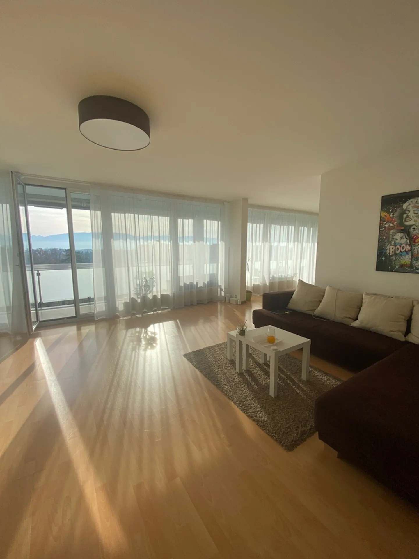 Appartement 8 pièces - Photo 4 sur 5