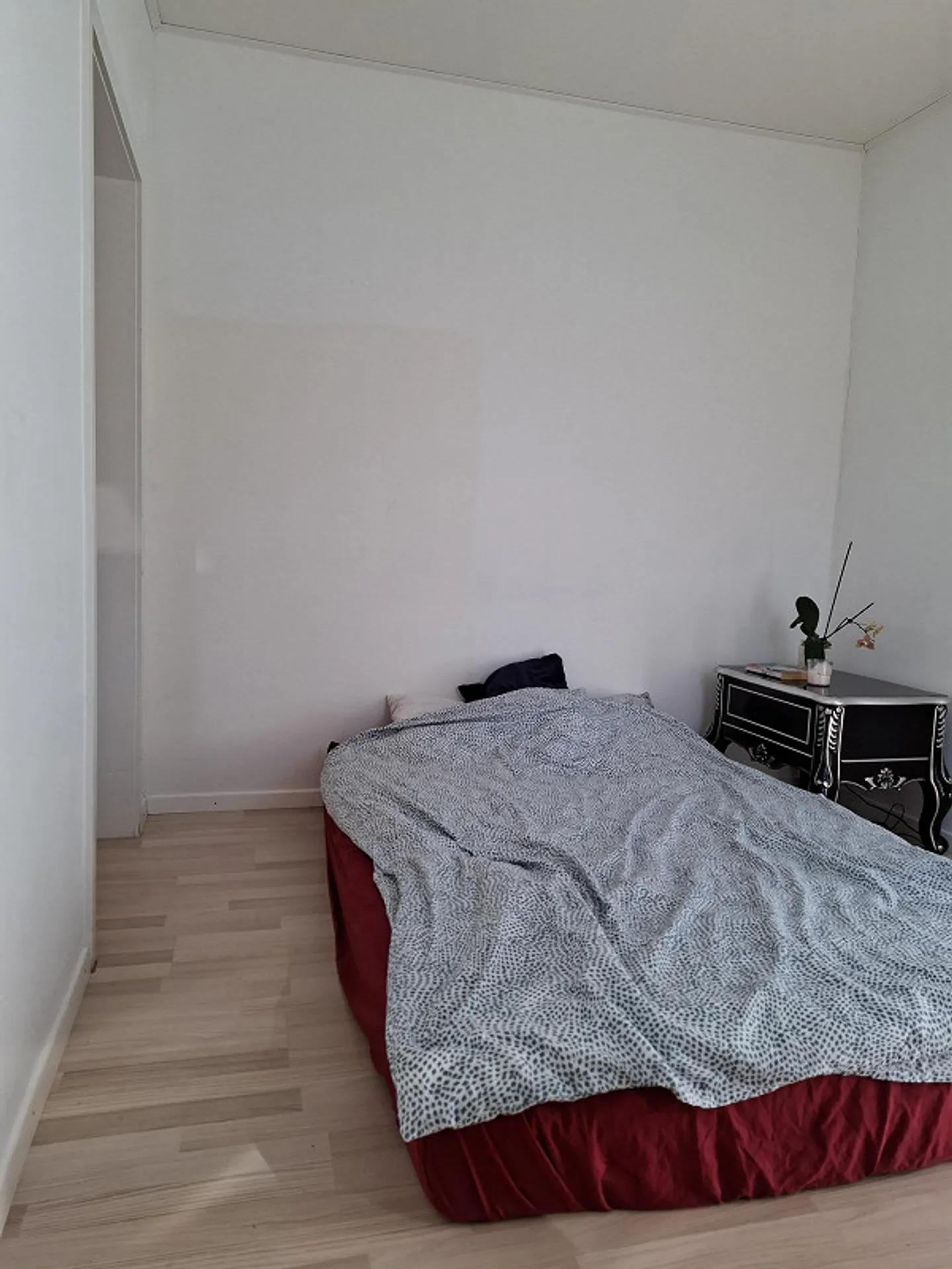 Appartamento 2 stanze / App. No. 2 - Foto 4 di 9
