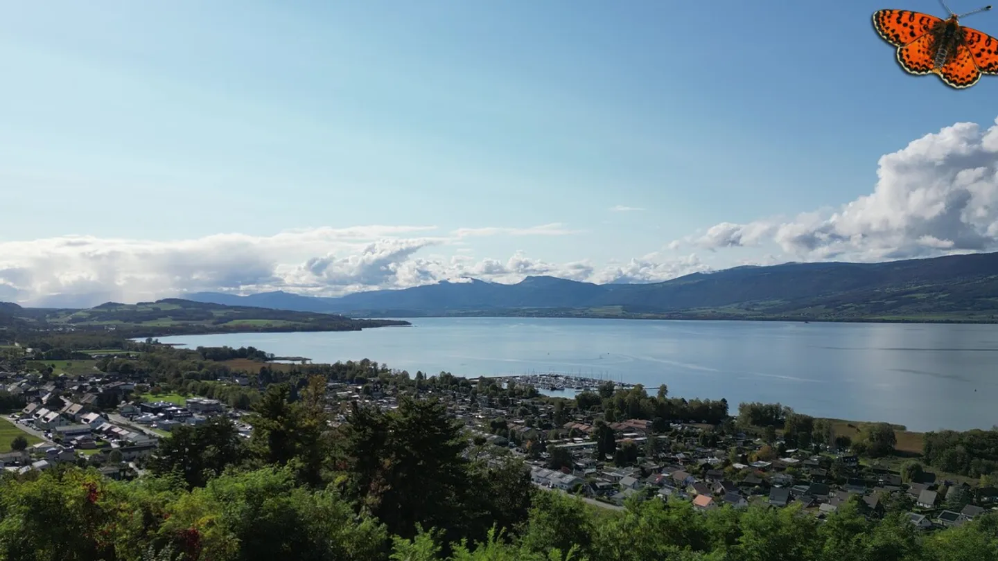 Lumineux 3½ pièces de 117 m² à Châbles avec vue sur le lac ! - Photo 2 sur 15