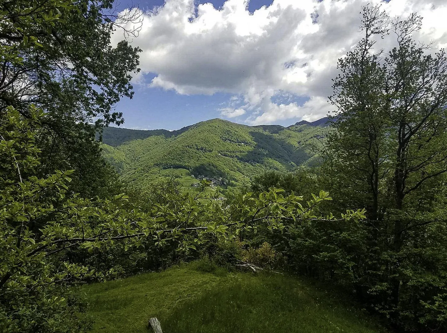 Charmante Rustico befindet sich in Scareglia, im Val Colla. Lugano - Foto 12 von 27