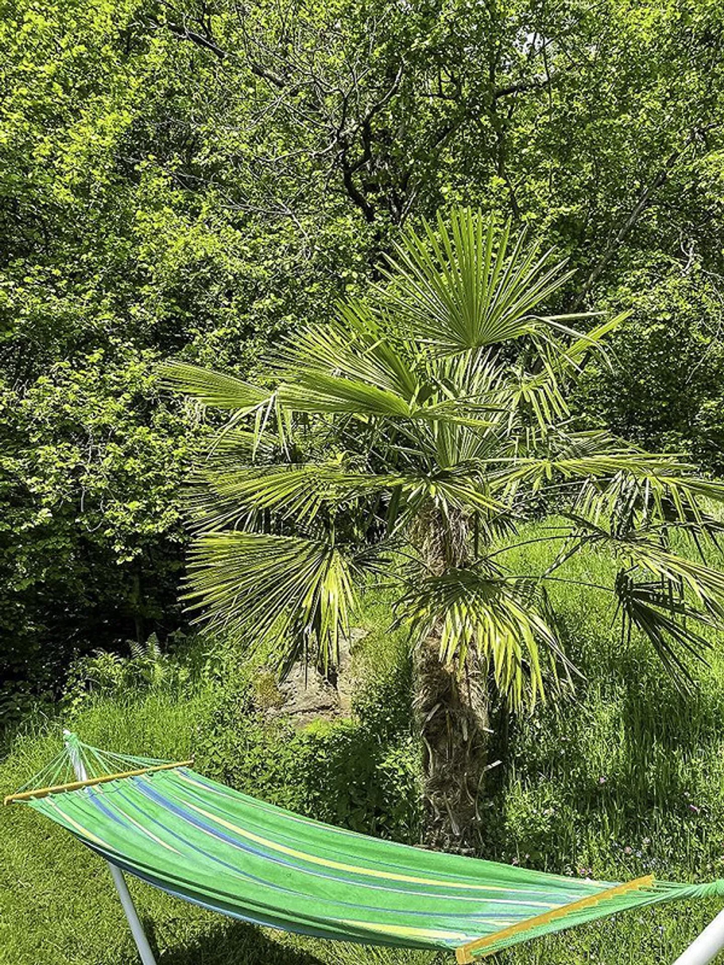 Charmante Rustico befindet sich in Scareglia, im Val Colla. Lugano - Foto 13 von 27