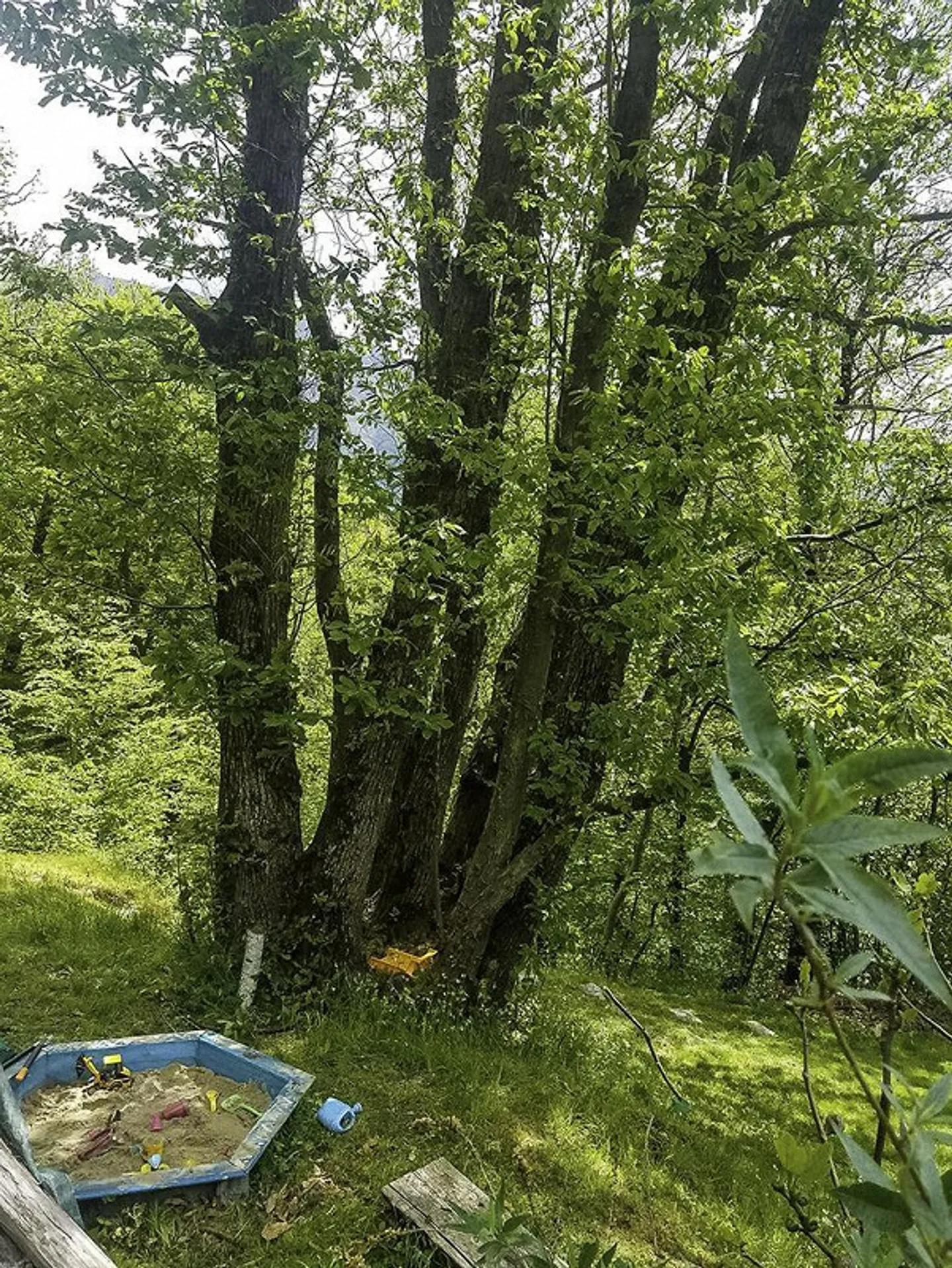 Charmante Rustico befindet sich in Scareglia, im Val Colla. Lugano - Foto 14 von 27