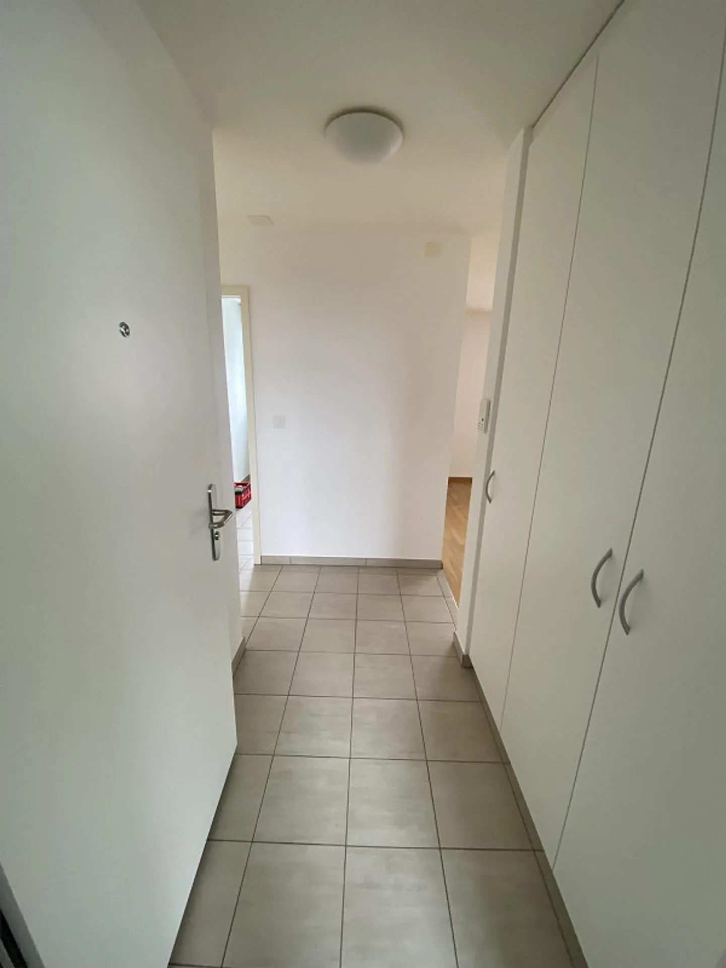 Ampio appartamento 2.5 locali - Foto 3 di 17