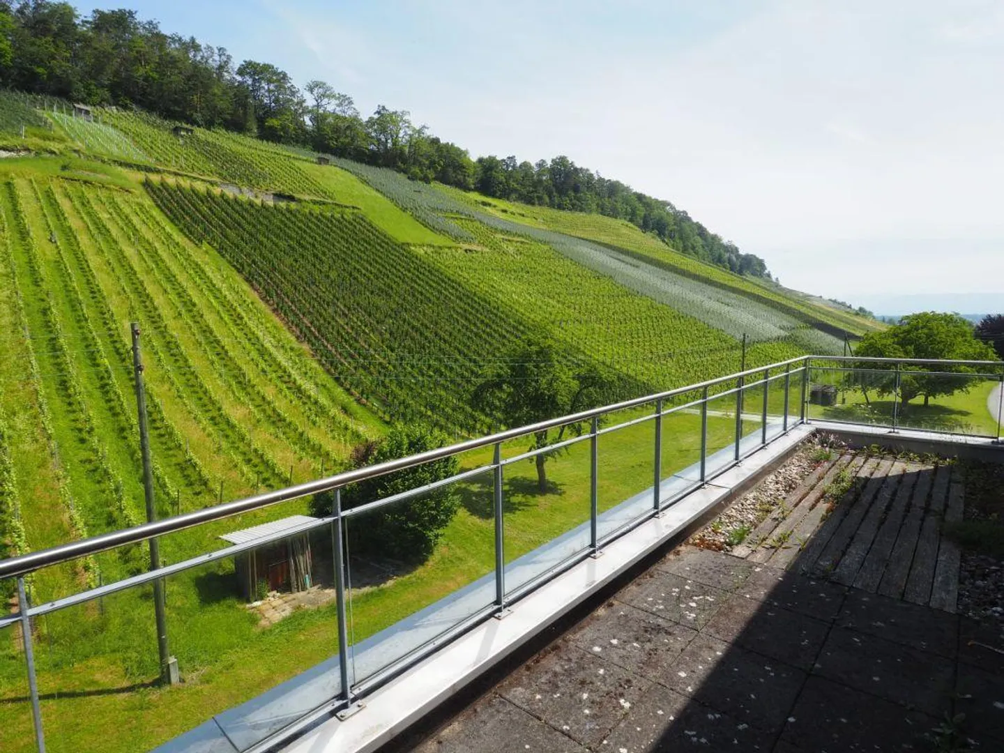 Dreamlike Living in the Vineyards! - Photo 2 of 19