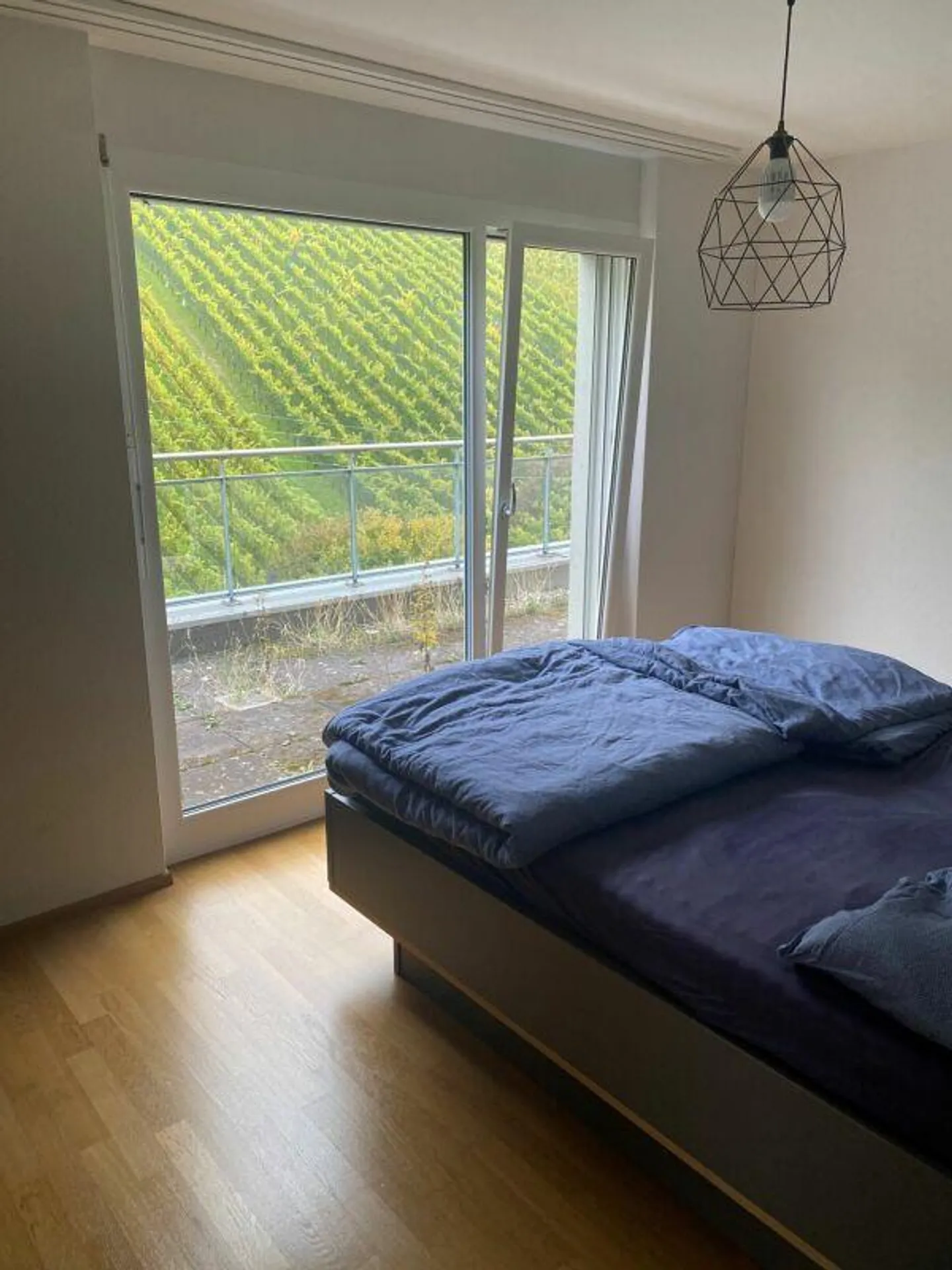 Dreamlike Living in the Vineyards! - Photo 7 of 19